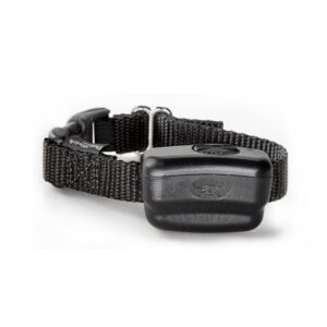 CR7 – Cat Receiver