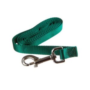 6ft Training Leash
