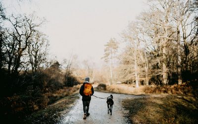 Fall Walking Tips