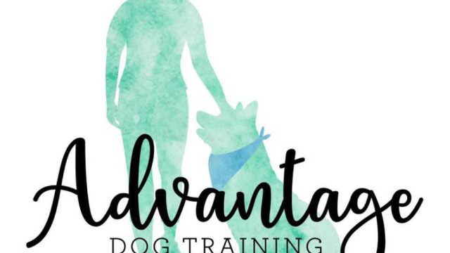 Advantage-dog-training