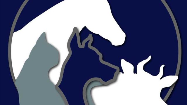 Animal-Clinic-of-Walla-Walla