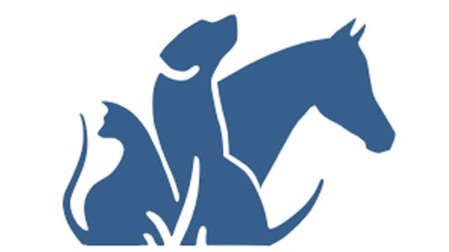 Animal-Hospital-of-Pasco