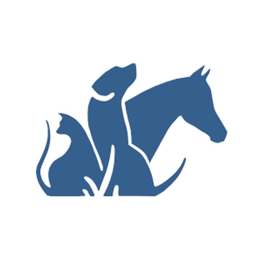 Animal-Hospital-of-Pasco