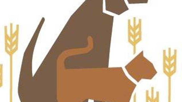 Associated-Veterinary-Medical-center