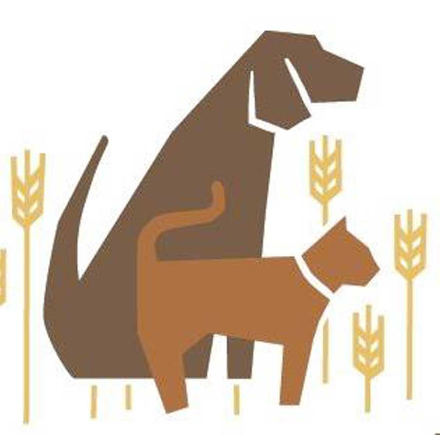 Associated-Veterinary-Medical-center