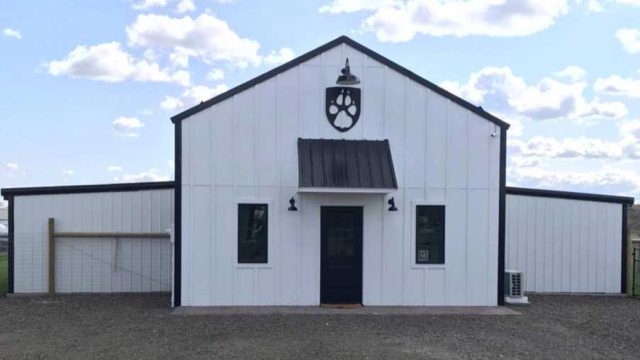 Country-Kennels-Boarding