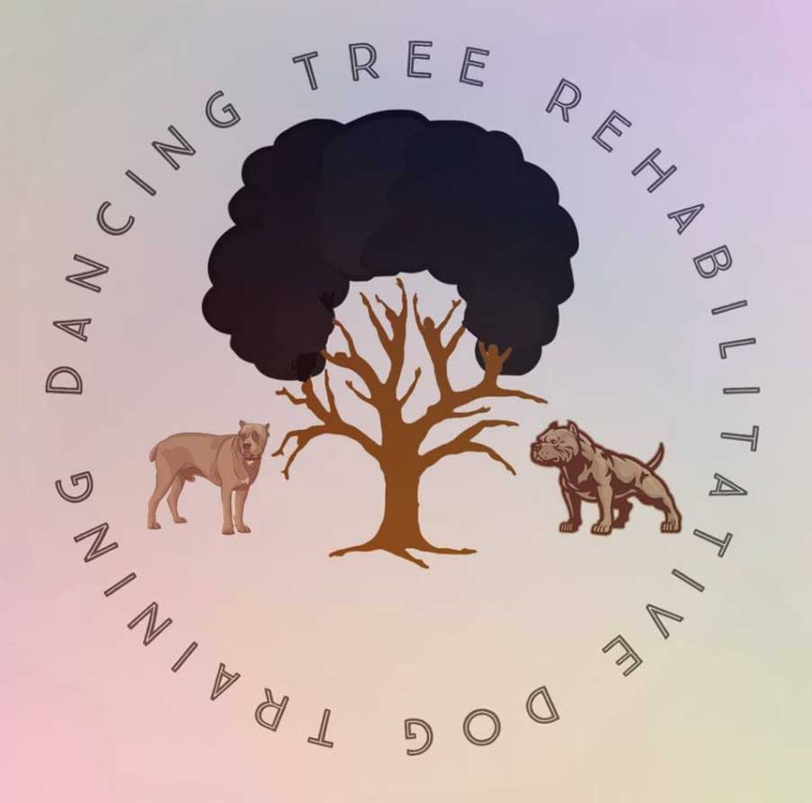 Dancing-tree-reahabilitative-dog-training