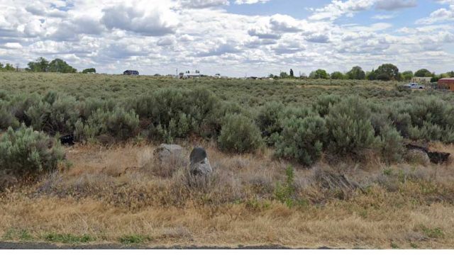 Desert-Oasis-kennels