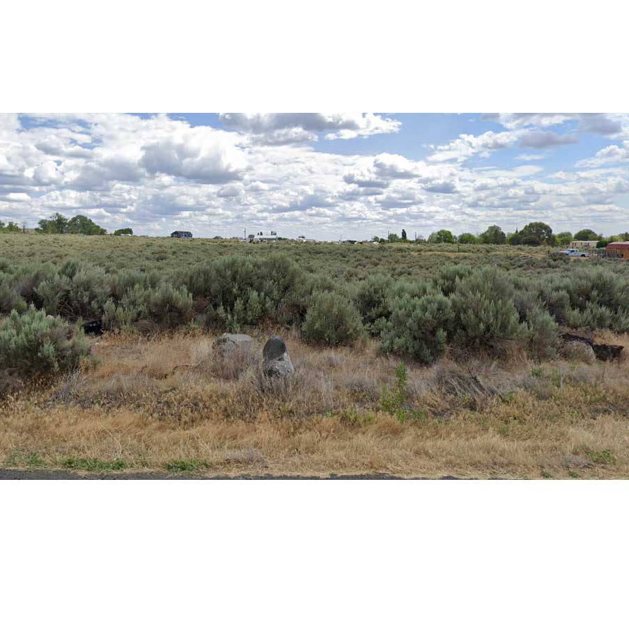 Desert-Oasis-kennels