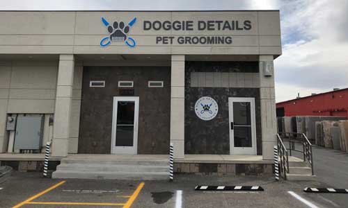 Doggie-Details-Grooming