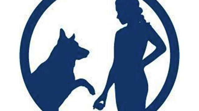 Fetch-please-dog-training