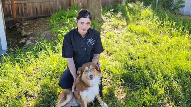 Fuzz-Bums-Pet-Grooming