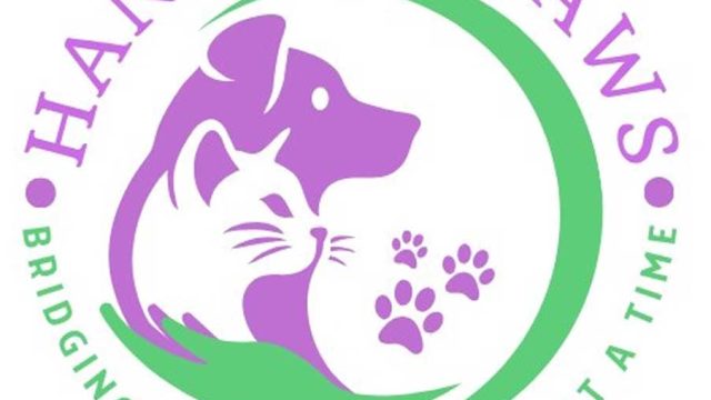Hand-N-Paws