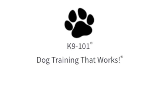 K9-101-dog-training