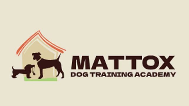 Mattox-Dog-Training