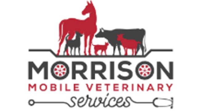 Morrison-Mobile-veteinary