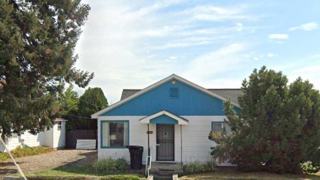 Mut-cutts-dog-grooming