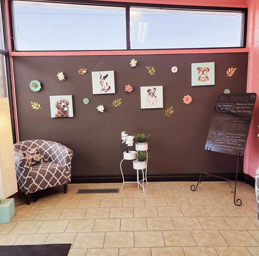 Papmpered-pets-boutique