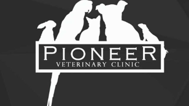 Pioneer-Vet