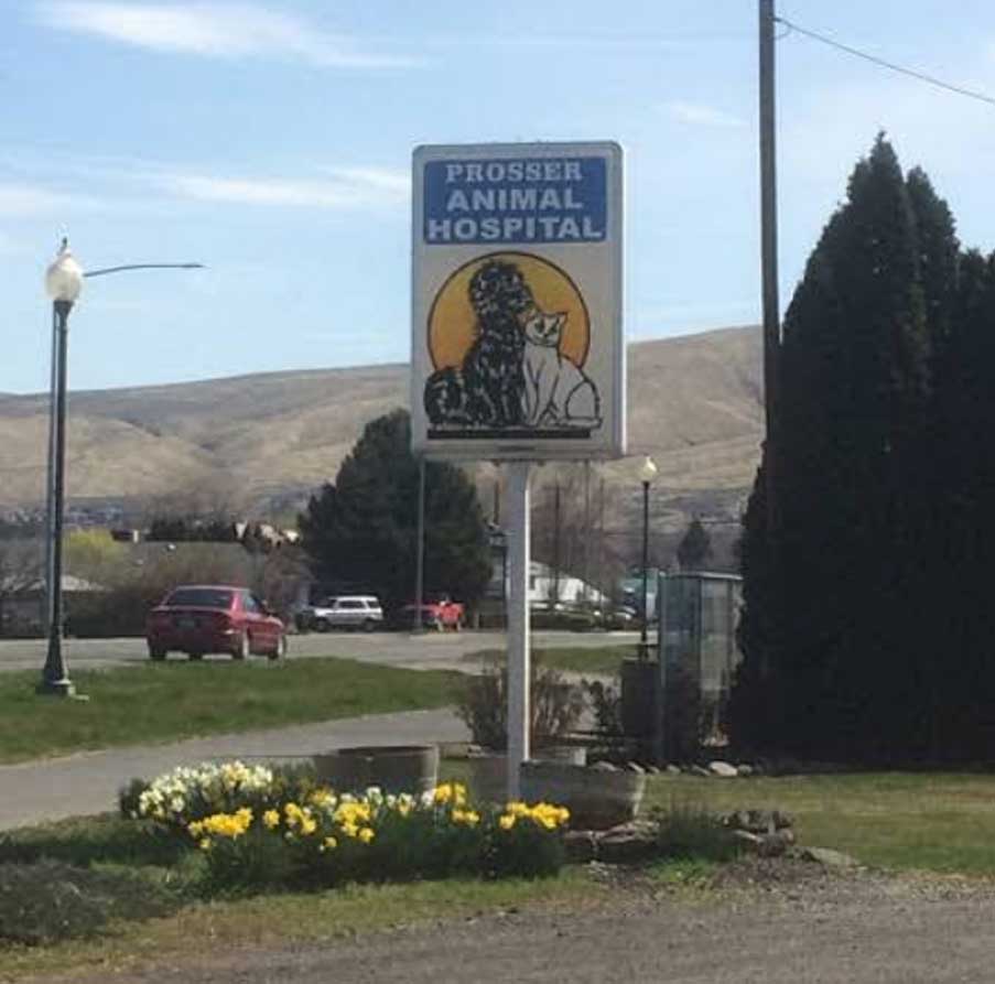 Prosser-animal-Hospital