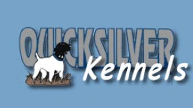 Quicksilver-kennels