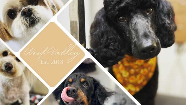 Woof-Valley-Grooming
