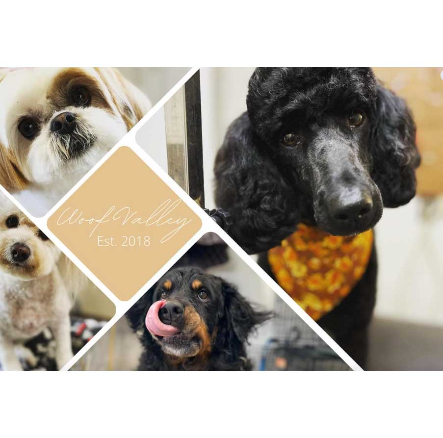 Woof-Valley-Grooming