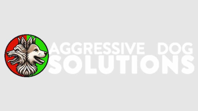 aggressive-dog-solutions