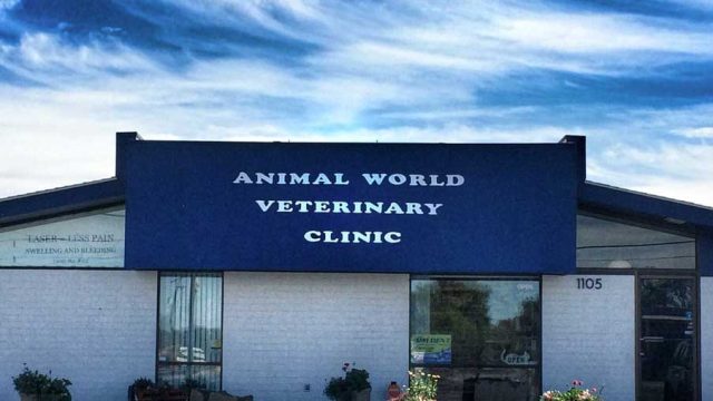 animal-world-vet-clinic