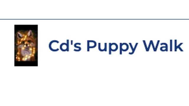 cd’s-puppy-walk