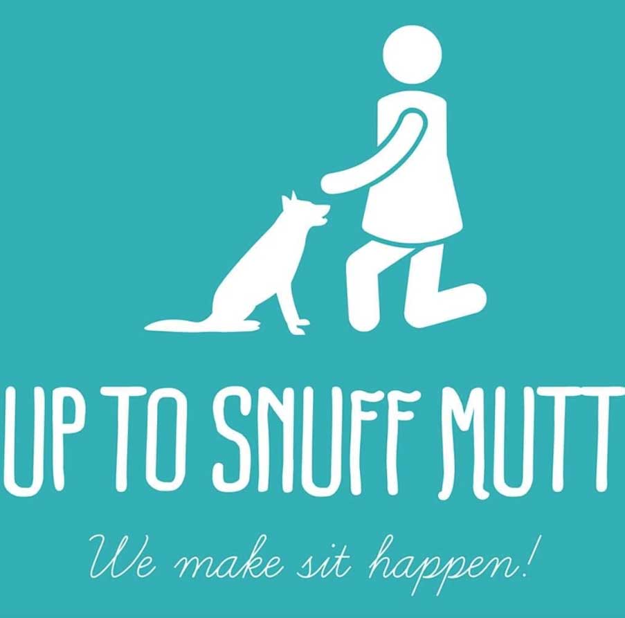 up-to-snuff-mutt